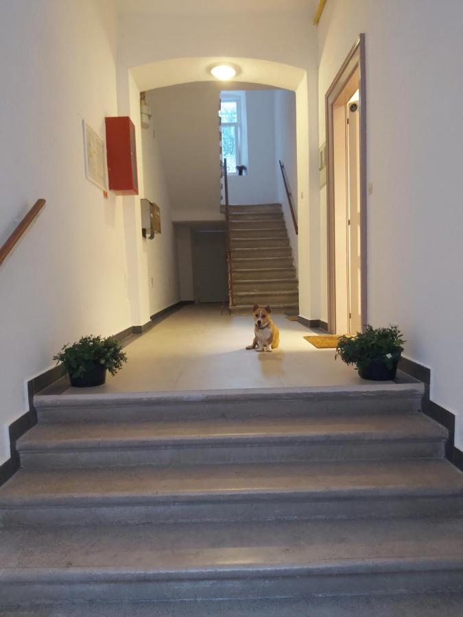 Apartman Draguc Pula Eksteriør bilde